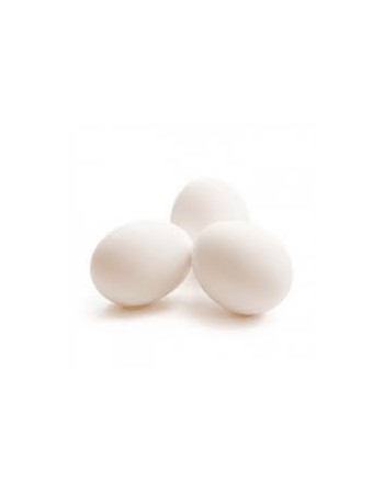 Huevos Blanco criadero