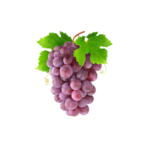 uva red globe