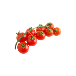tomate cherry