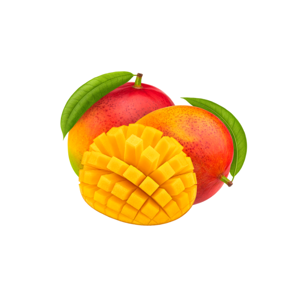 mango las condes