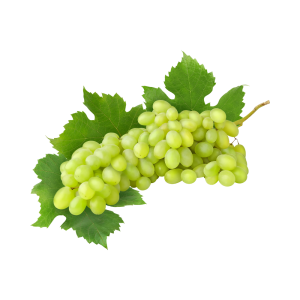 uva blanca