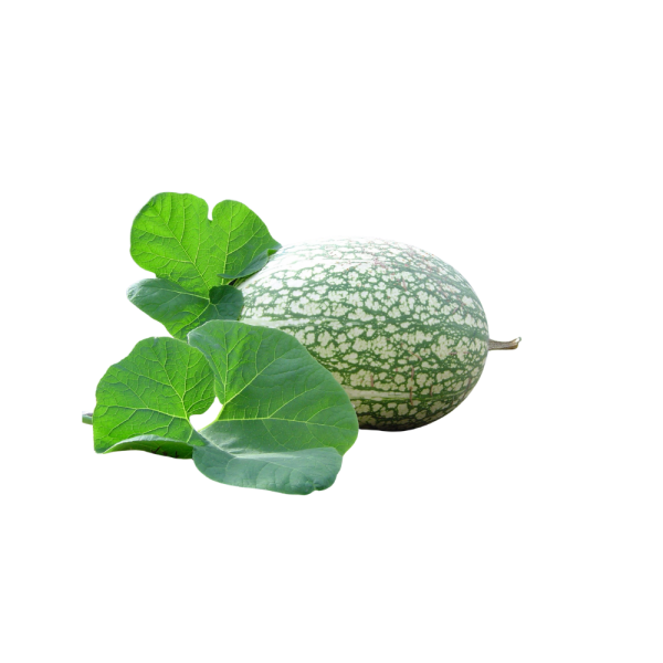 alcayota