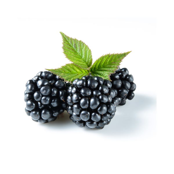 moras