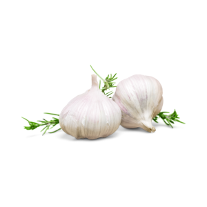 ajo