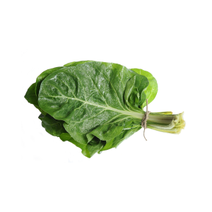 acelga