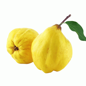 membrillo